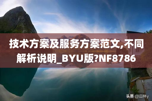 技术方案及服务方案范文,不同解析说明_BYU版?NF8786