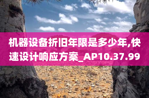 机器设备折旧年限是多少年,快速设计响应方案_AP10.37.99