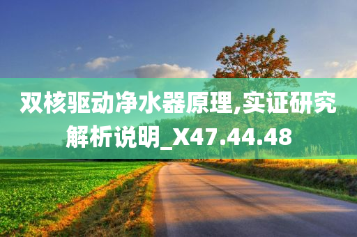 双核驱动净水器原理,实证研究解析说明_X47.44.48