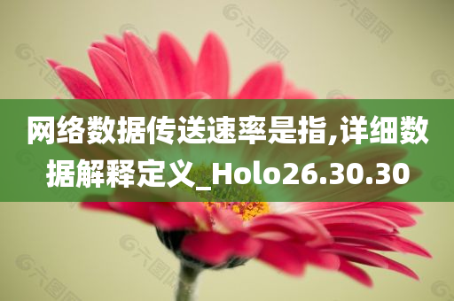 网络数据传送速率是指,详细数据解释定义_Holo26.30.30