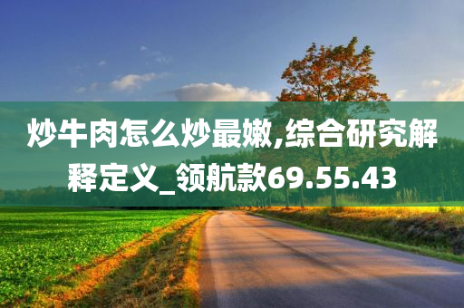 炒牛肉怎么炒最嫩,综合研究解释定义_领航款69.55.43