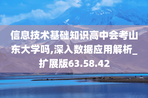 信息技术基础知识高中会考山东大学吗,深入数据应用解析_扩展版63.58.42