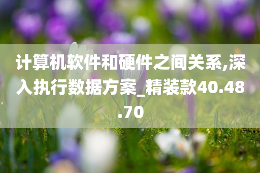 计算机软件和硬件之间关系,深入执行数据方案_精装款40.48.70