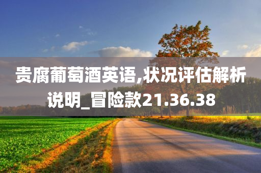 贵腐葡萄酒英语,状况评估解析说明_冒险款21.36.38