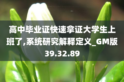 高中毕业证快速拿证大学生上班了,系统研究解释定义_GM版39.32.89