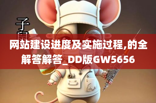 网站建设进度及实施过程,的全解答解答_DD版GW5656