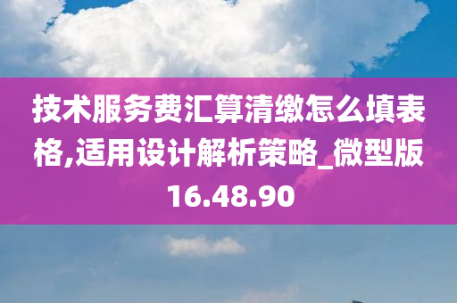 技术服务费汇算清缴怎么填表格,适用设计解析策略_微型版16.48.90