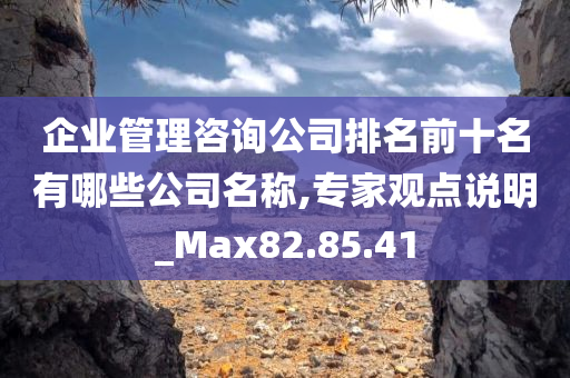 企业管理咨询公司排名前十名有哪些公司名称,专家观点说明_Max82.85.41