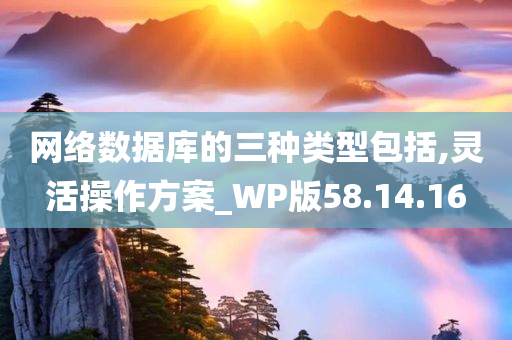 网络数据库的三种类型包括,灵活操作方案_WP版58.14.16