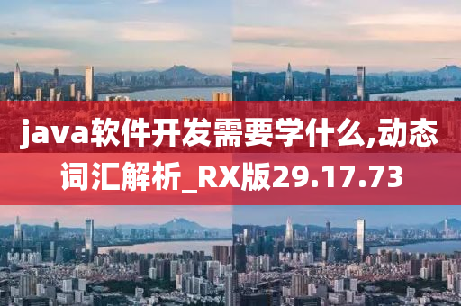 java软件开发需要学什么,动态词汇解析_RX版29.17.73