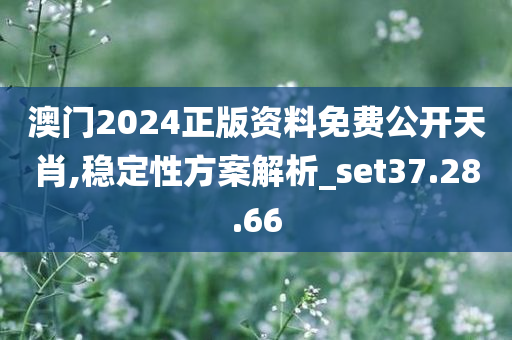 澳门2024正版资料免费公开天肖,稳定性方案解析_set37.28.66