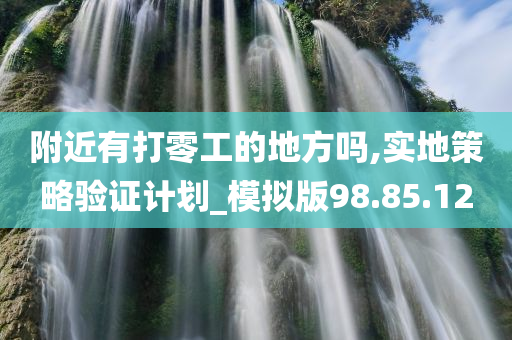 附近有打零工的地方吗,实地策略验证计划_模拟版98.85.12