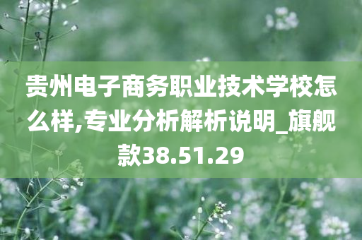 贵州电子商务职业技术学校怎么样,专业分析解析说明_旗舰款38.51.29