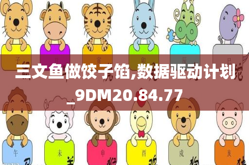 三文鱼做饺子馅,数据驱动计划_9DM20.84.77