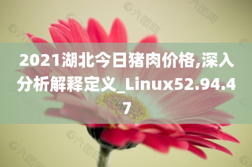 2021湖北今日猪肉价格,深入分析解释定义_Linux52.94.47