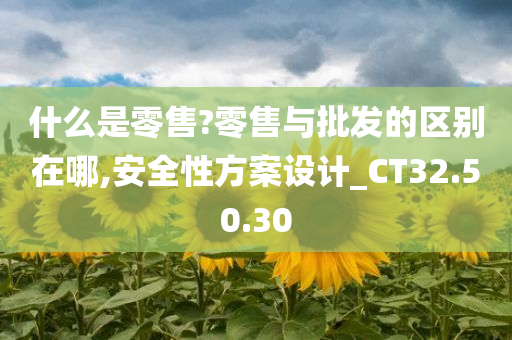 什么是零售?零售与批发的区别在哪,安全性方案设计_CT32.50.30