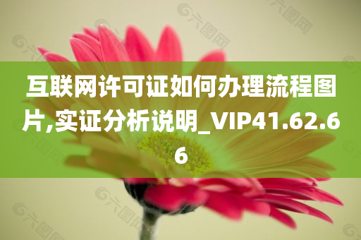 互联网许可证如何办理流程图片,实证分析说明_VIP41.62.66