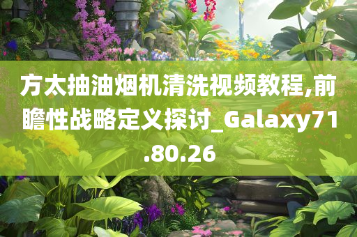 方太抽油烟机清洗视频教程,前瞻性战略定义探讨_Galaxy71.80.26