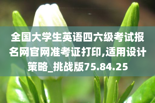 全国大学生英语四六级考试报名网官网准考证打印,适用设计策略_挑战版75.84.25