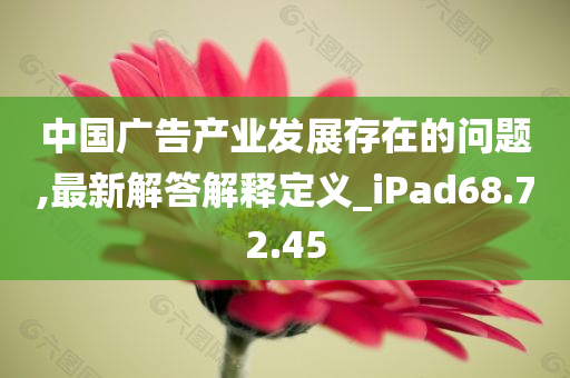 中国广告产业发展存在的问题,最新解答解释定义_iPad68.72.45