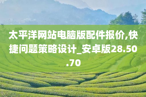 太平洋网站电脑版配件报价,快捷问题策略设计_安卓版28.50.70