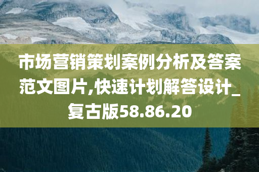 市场营销策划案例分析及答案范文图片,快速计划解答设计_复古版58.86.20