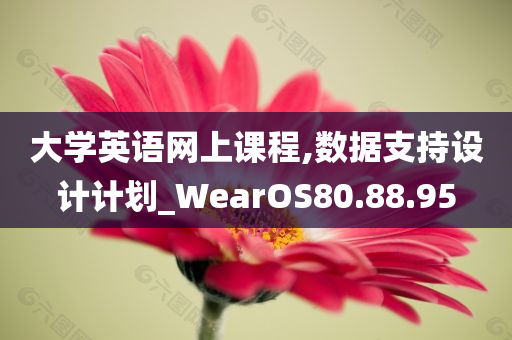 大学英语网上课程,数据支持设计计划_WearOS80.88.95