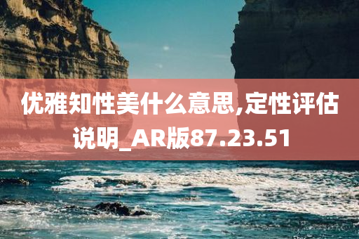 优雅知性美什么意思,定性评估说明_AR版87.23.51