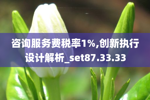 咨询服务费税率1%,创新执行设计解析_set87.33.33