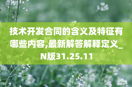 技术开发合同的含义及特征有哪些内容,最新解答解释定义_N版31.25.11