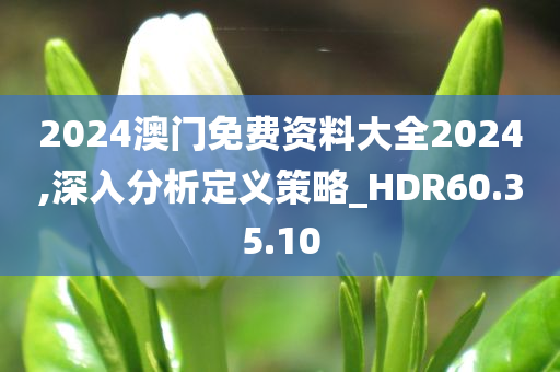 2024澳门免费资料大全2024,深入分析定义策略_HDR60.35.10